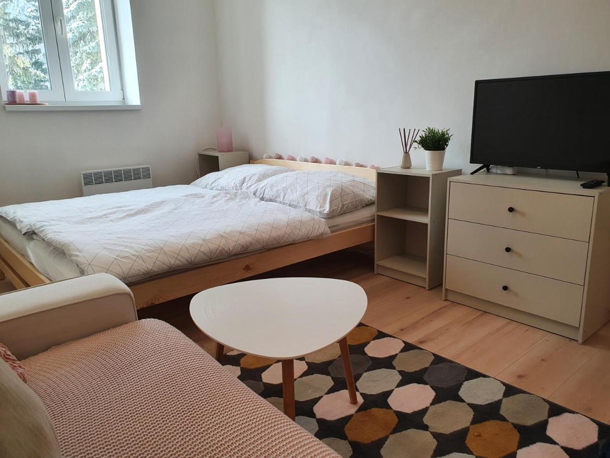 Apartmany Brachovna Mikulov v Krusnych Horach Exterior foto
